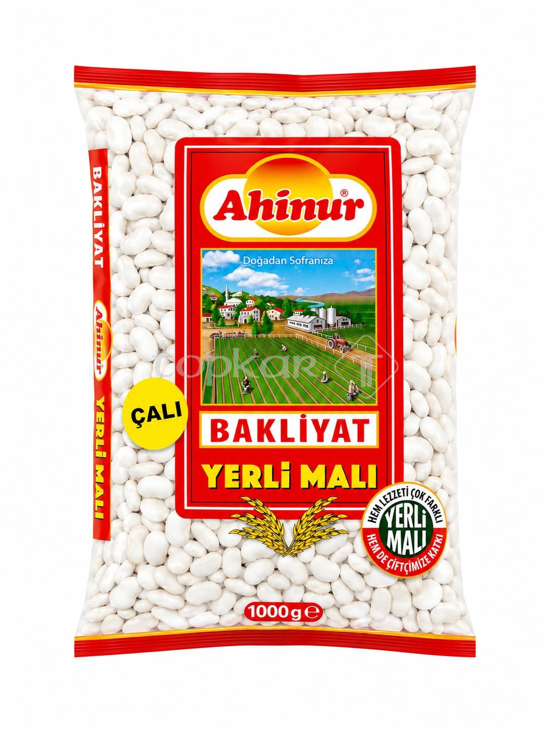 Ahinur Cali Bohnen