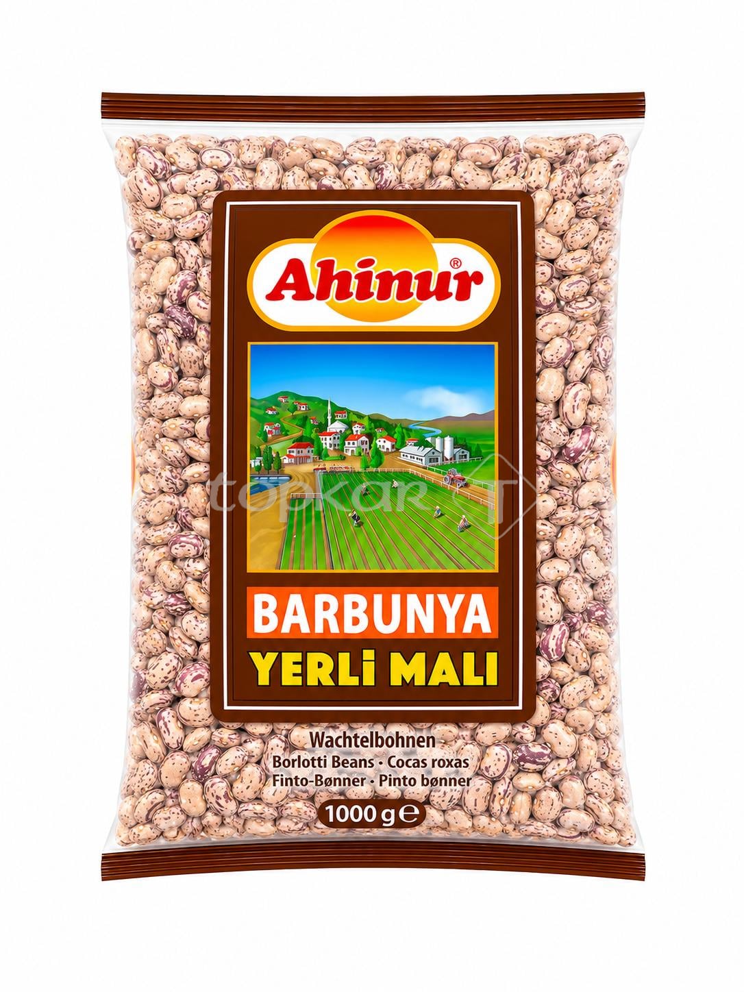 Ahinur Wachtelbohnen