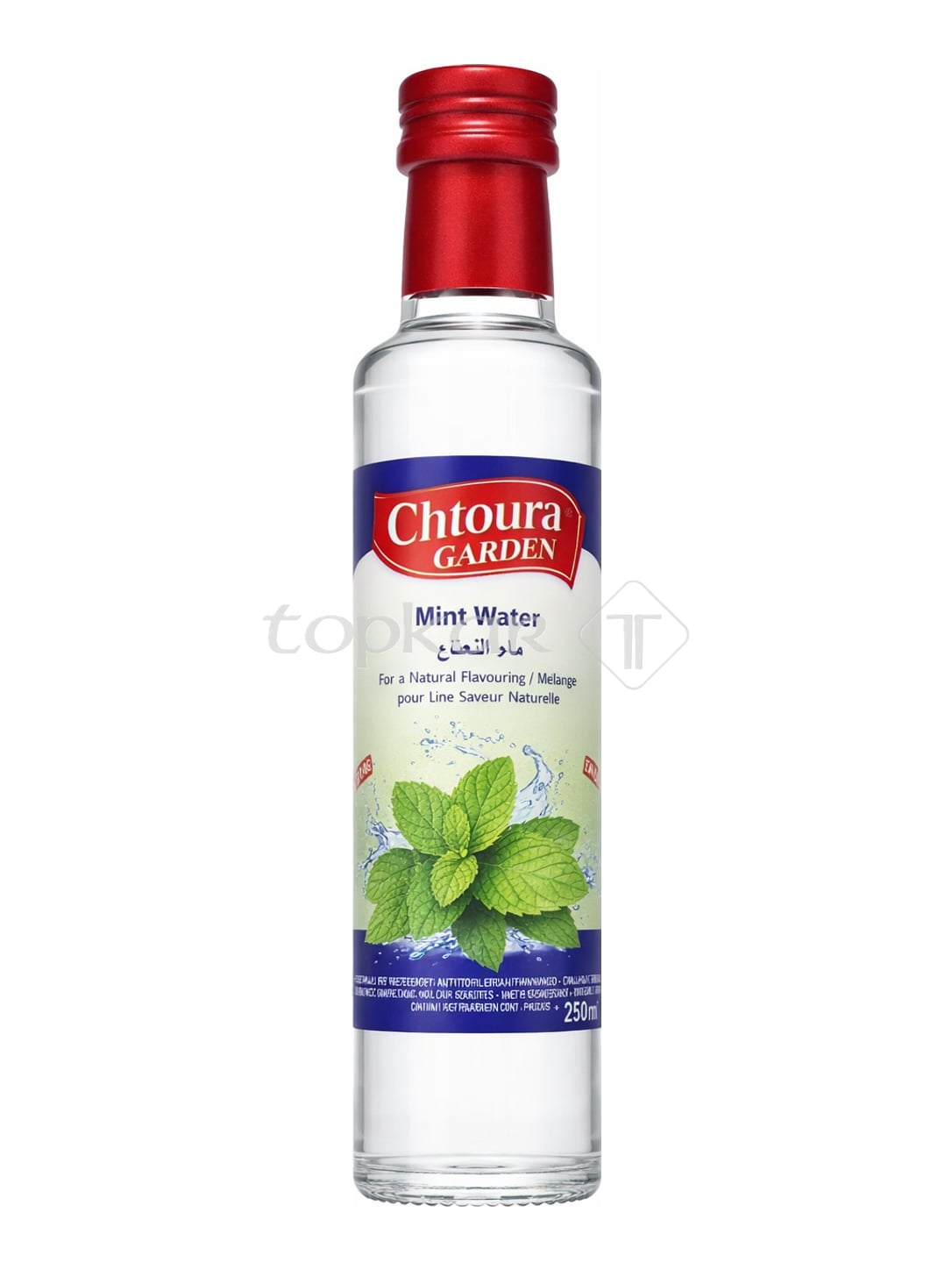 Chtoura Garden Minzwasser 250 ml – Nane Suyu Mint Water Aromawasser